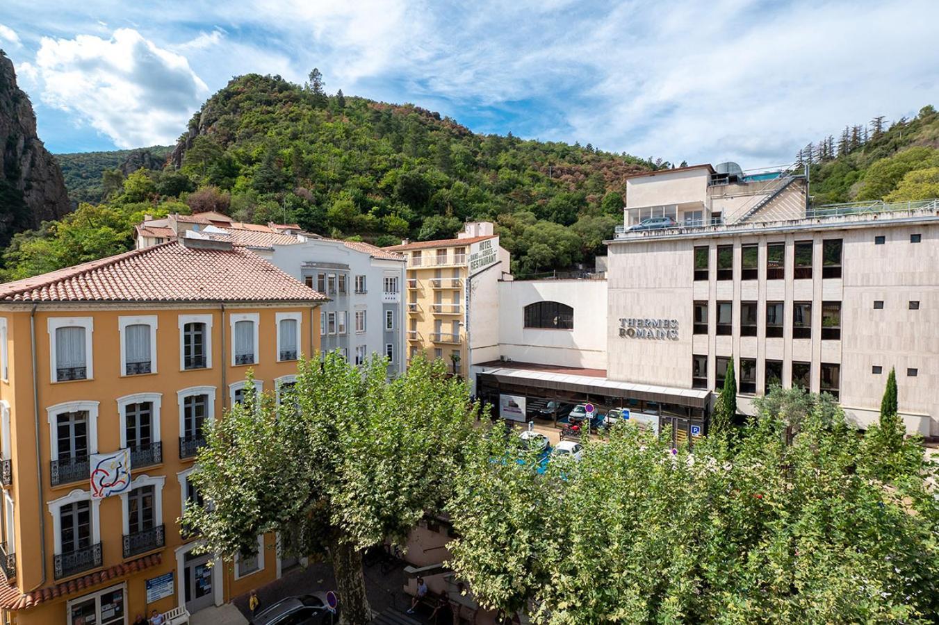 Charmant T1 Bis Idéalement situé au pied des thermes Amélie-les-bains Exterior foto